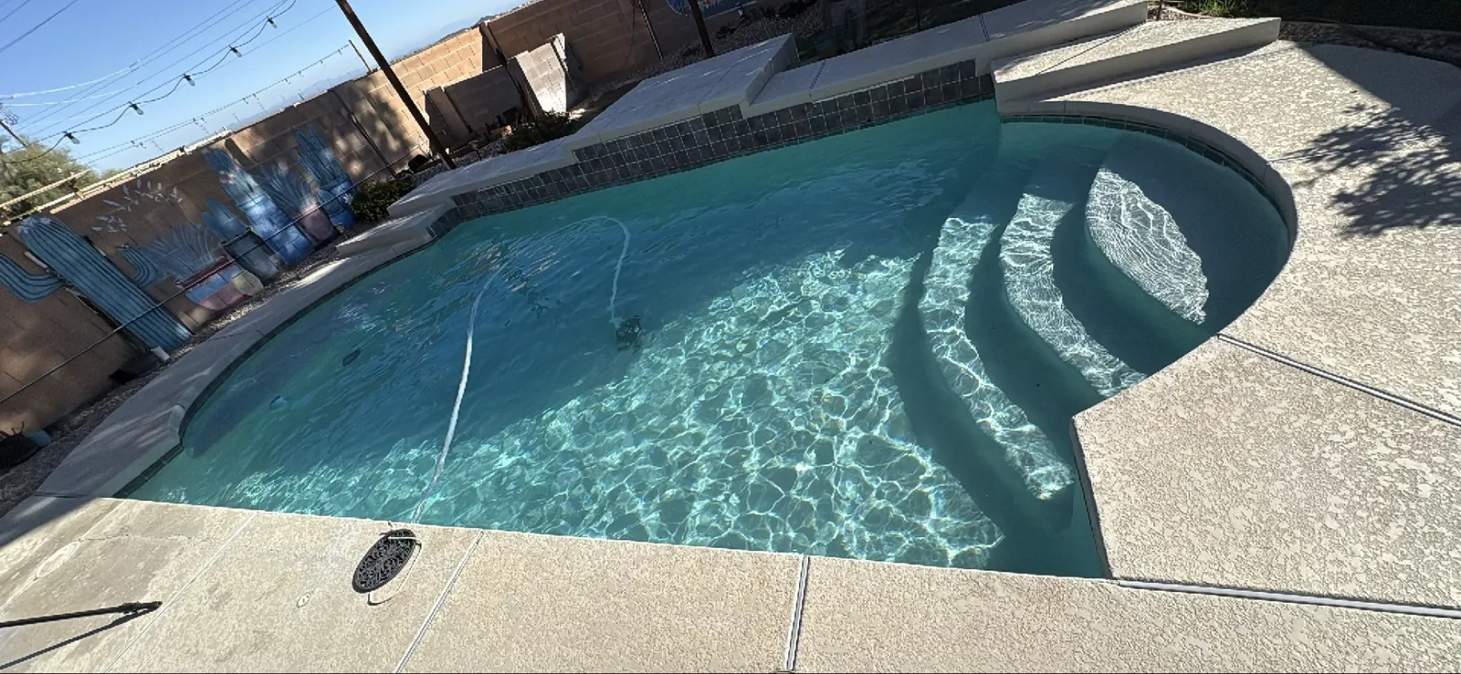 Freeform San Tan Valley pool with curved steps and visible debris before service