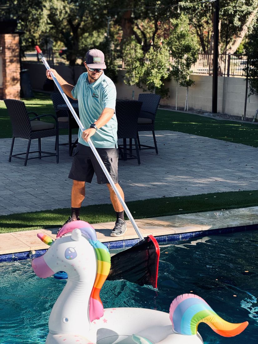 pool skim